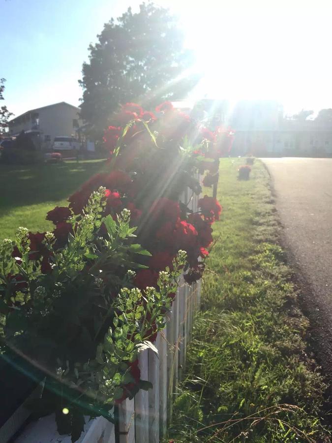 Fair Isle Motel Charlottetown Luaran gambar