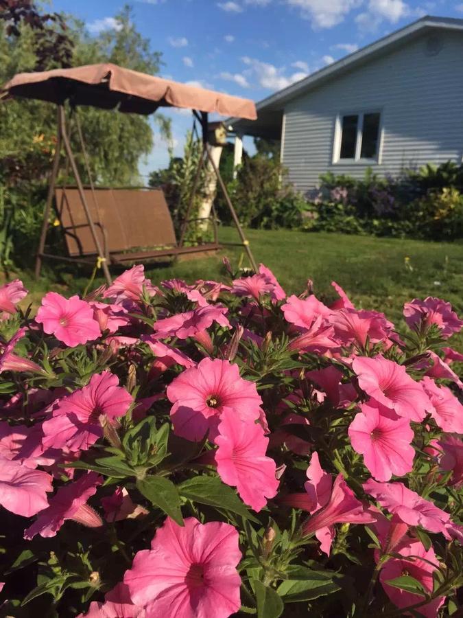 Fair Isle Motel Charlottetown Luaran gambar